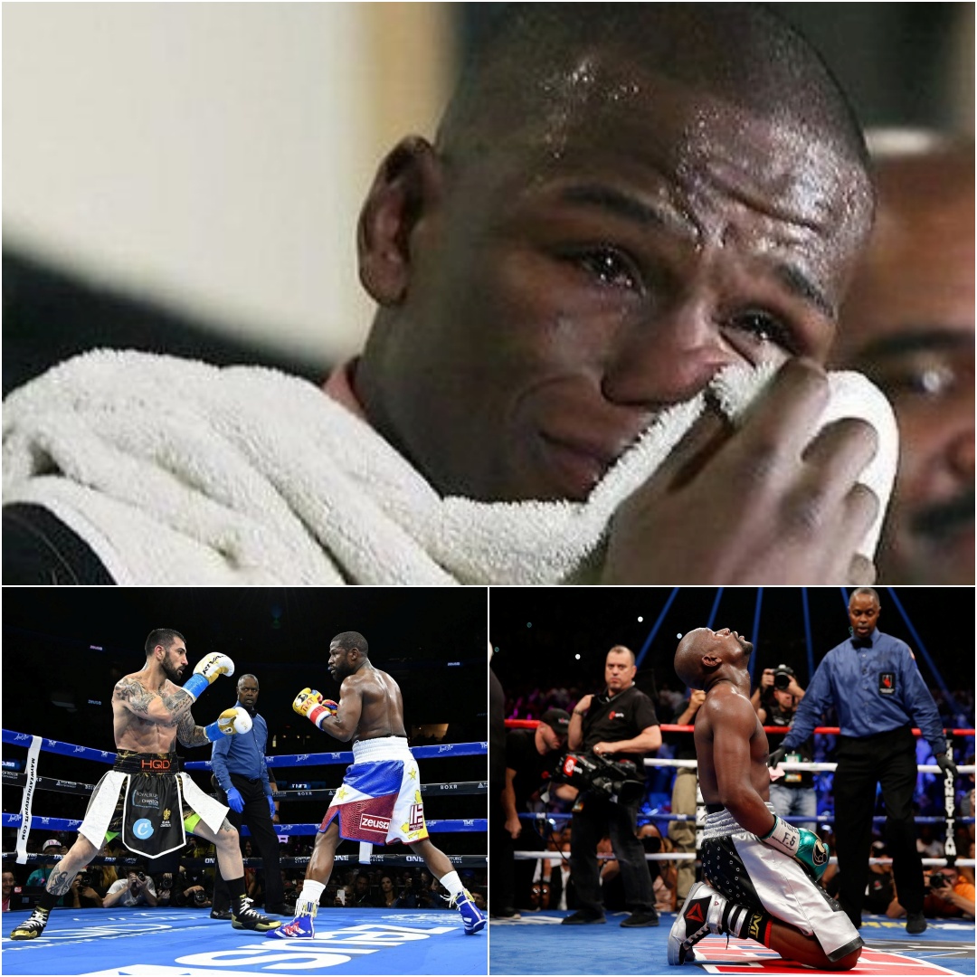 I AM UNDEFEATED INVIOLABLE Mayweather Who Was Unexpectedly Knocked