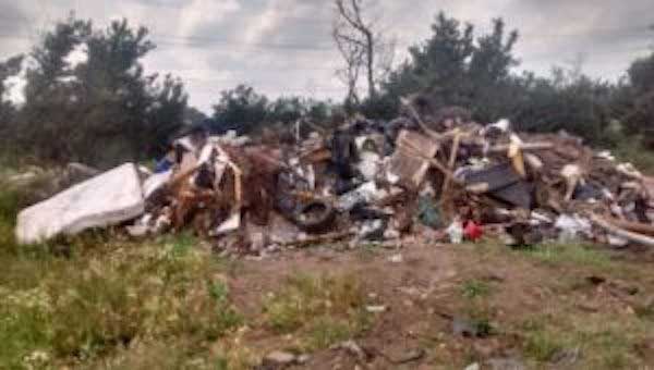 Sick Dog Thrown In A Trash pile Discoνered Completely By Chance – AmazingUnitedState.Com