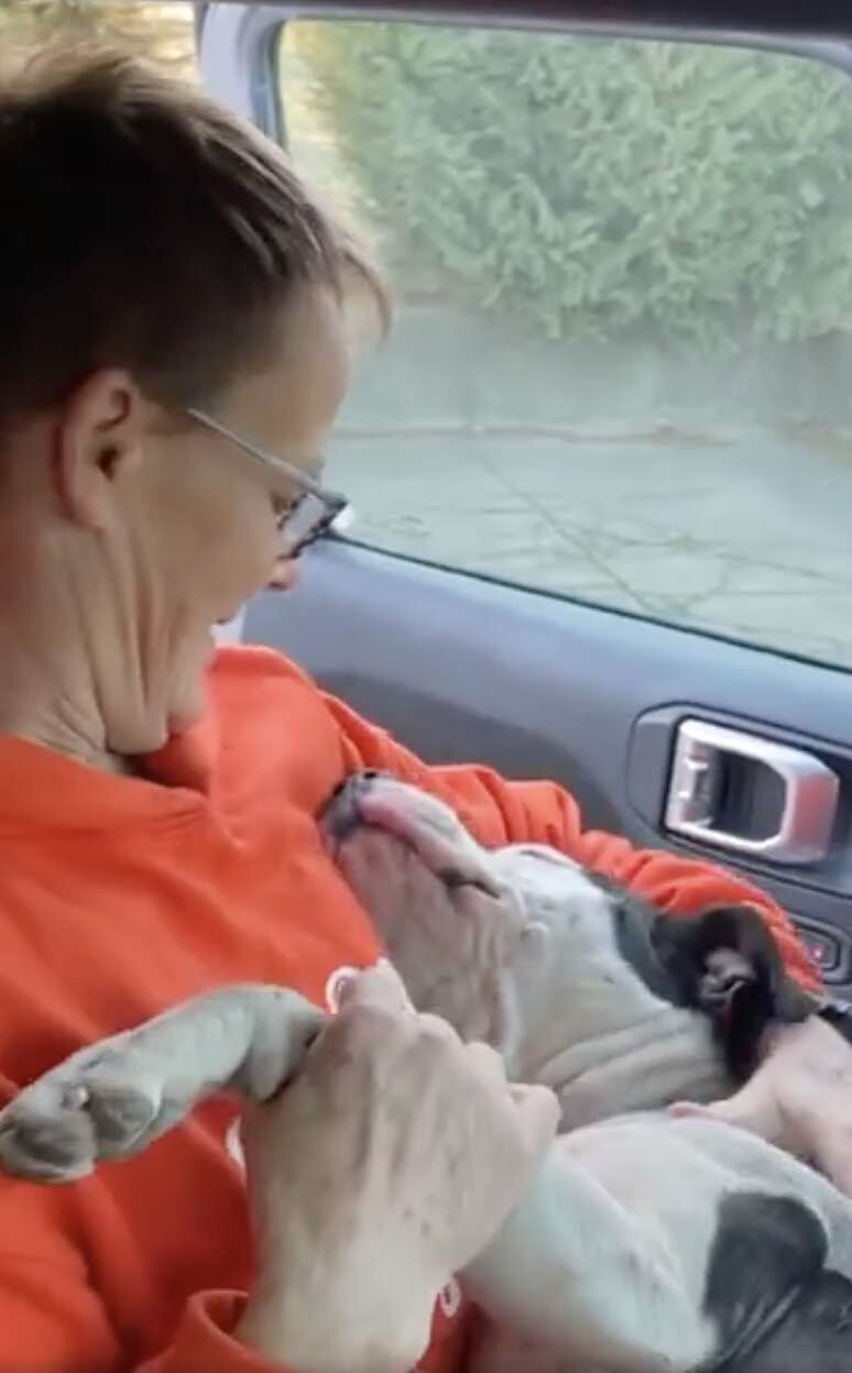 'Super-Scared' Stray Dog Melts Into Rescuer’s Arms As Soon As She Knows She’s Safe