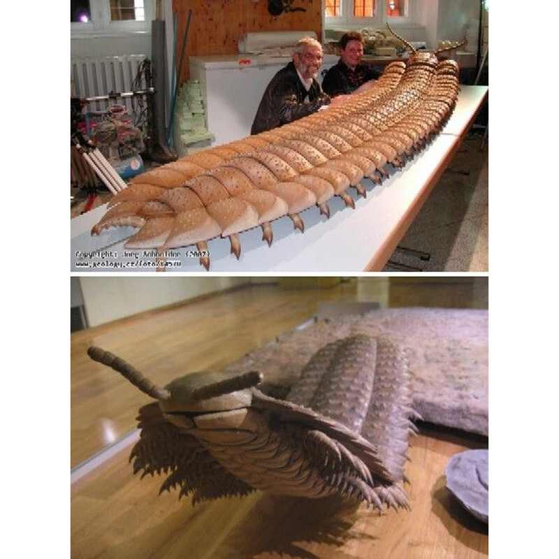 A 2.7-meter-long centipede was discovered in the UK