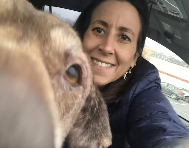 Pilot Transports a Terminal Shelter Dog 400 Miles to Spend her final days with her Loving Family