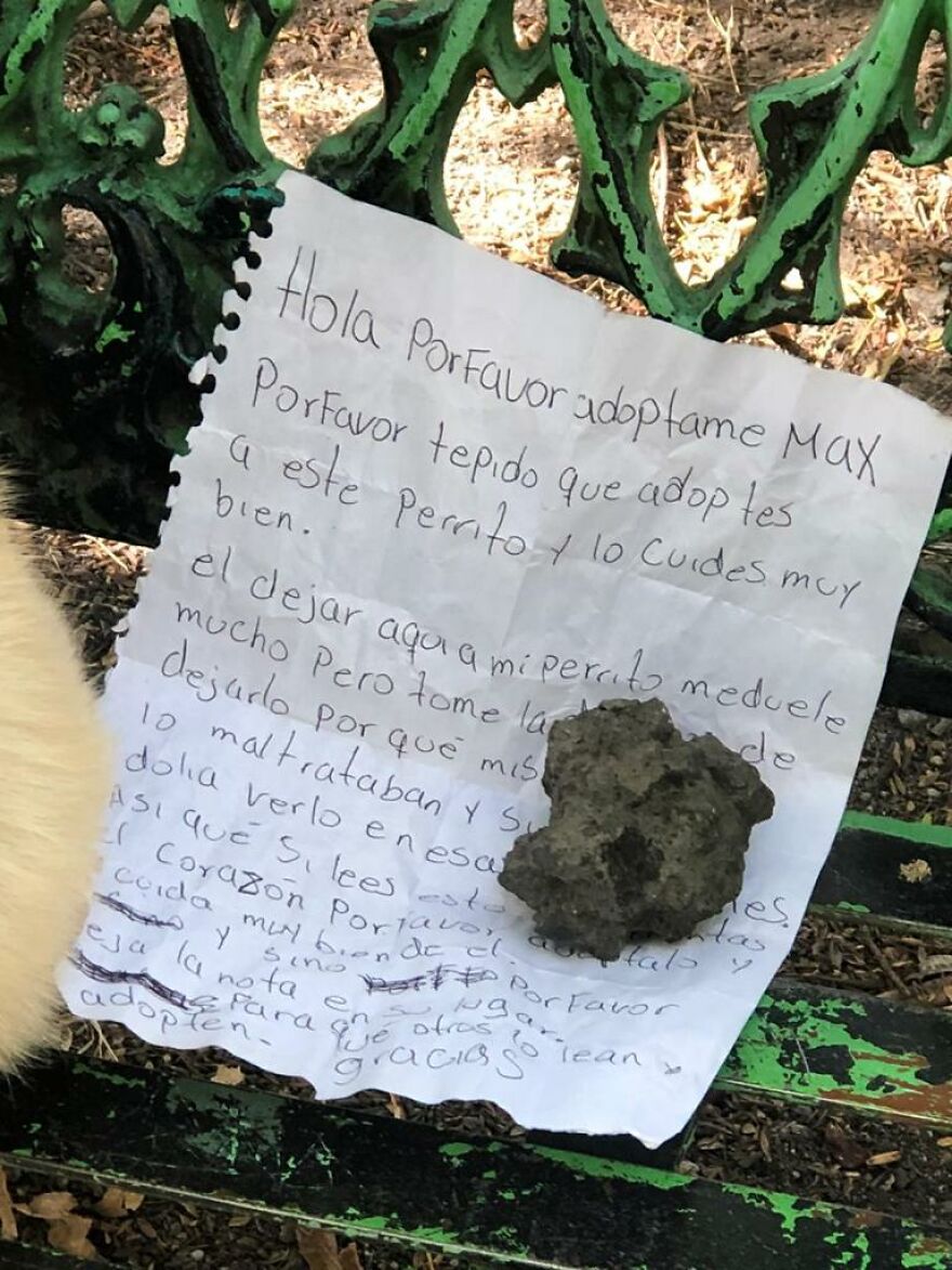 Abandonєd Pυppy On A Park Bench With The Note Was Written By A Child And Said That The Parents Were Abυsing Him