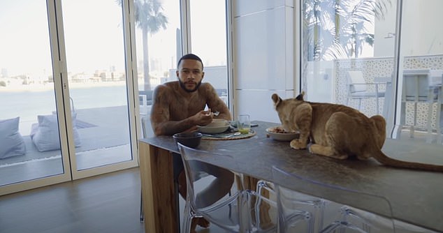 Memphis Depay, the flop of Man Utd, unleashes his inner Tiger King spirit as he flaunts his liger and big cat tattoo - amazingtoday.net