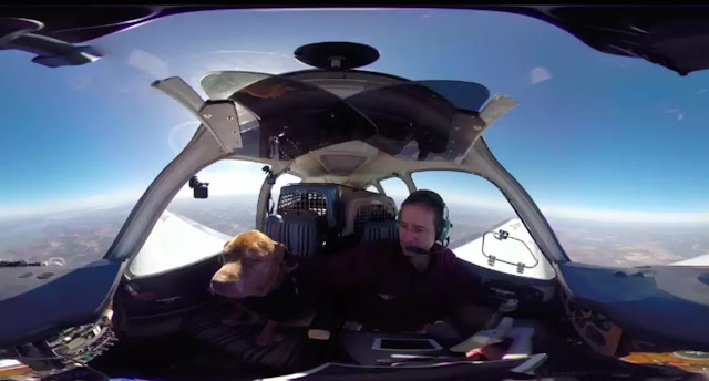 Pilot Transports a Terminal Shelter Dog 400 Miles to Spend her final days with her Loving Family