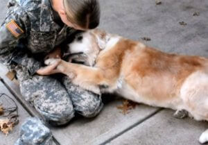 As the elderly dog sees her best friend returning from the army, she sobs with joy and breaks down in tears. – AmazingUnitedState.Com