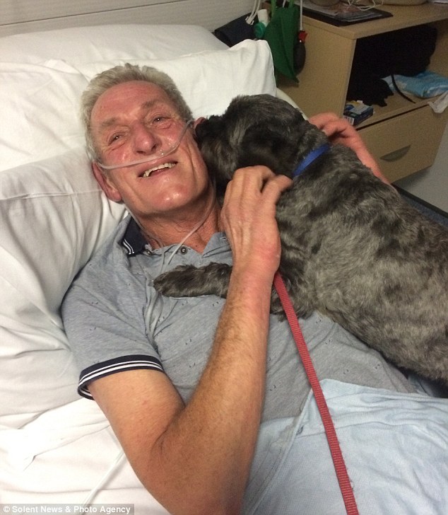 The dog is always by the owner's side in a deep coma and miraculously he wakes up - Juligal