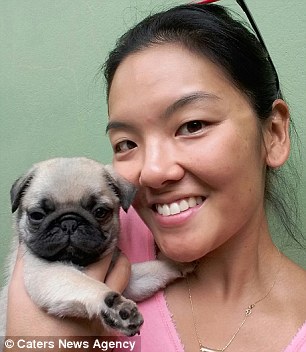 This Terrified Puppy Spent 6 Hours Stuck inside a Pipe has been Rescued After a Police Officer Dug 2 Holes in a Garden and a House to Pull Him Out