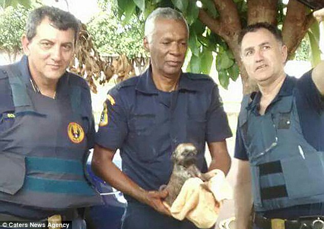 This Terrified Puppy Spent 6 Hours Stuck inside a Pipe has been Rescued After a Police Officer Dug 2 Holes in a Garden and a House to Pull Him Out