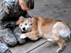 As the elderly dog sees her best friend returning from the army, she sobs with joy and breaks down in tears. – AmazingUnitedState.Com