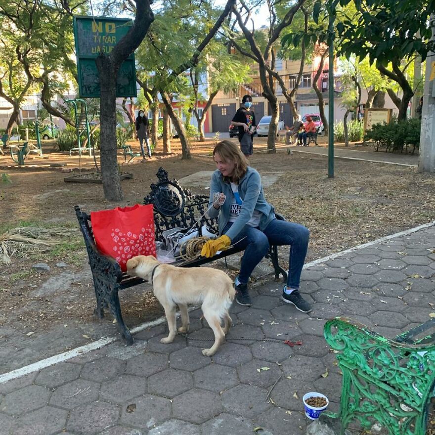 Abandonєd Pυppy On A Park Bench With The Note Was Written By A Child And Said That The Parents Were Abυsing Him