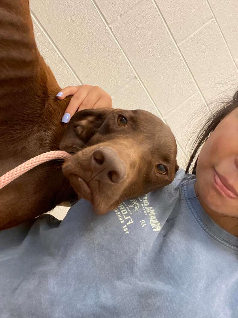 Dog Stranded On Highway Gives Rescuer Biggest Hug After She Saves Him