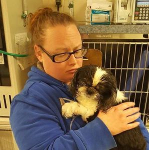 Vet Euthanizes Dog By Mistake Now She Fights To Survive Against All Odds