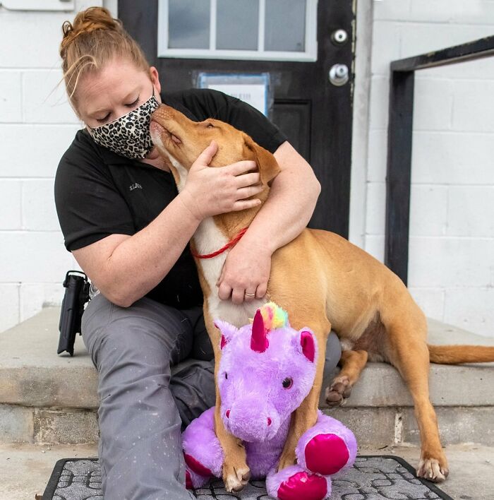 A Stray Dog Who Kept Trying To ѕteаɩ A Purple Unicorn From A Store Gets A Toy And A Forever Home