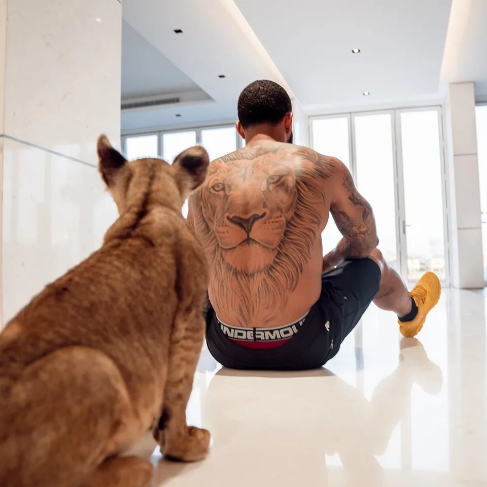 Memphis Depay, the flop of Man Utd, unleashes his inner Tiger King spirit as he flaunts his liger and big cat tattoo - amazingtoday.net