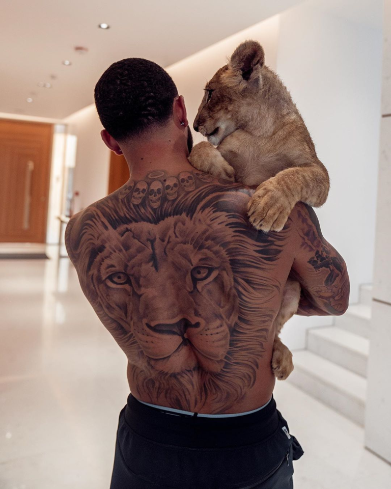 Memphis Depay, the flop of Man Utd, unleashes his inner Tiger King spirit as he flaunts his liger and big cat tattoo - amazingtoday.net