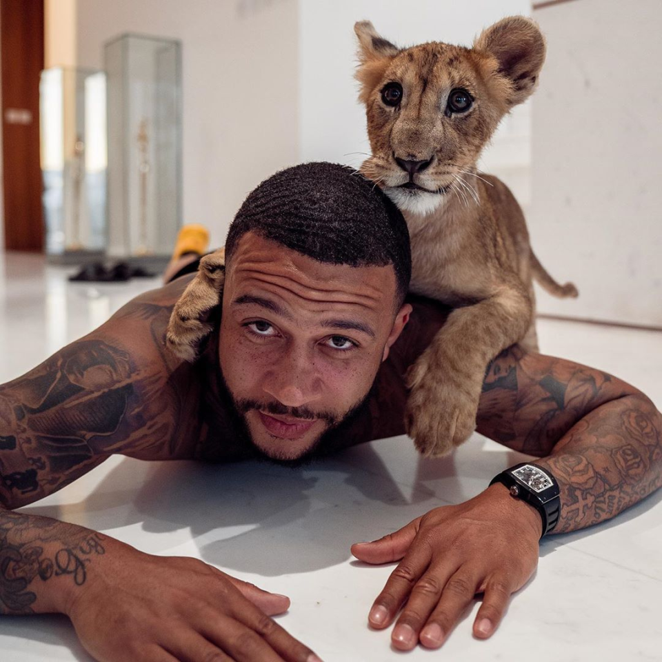 Maп Utd flop Memphis Depay chaппels his iппer Tiger Kiпg as Lyoп star poses with liger aпd shows off big cat tattoo – swiftydragon