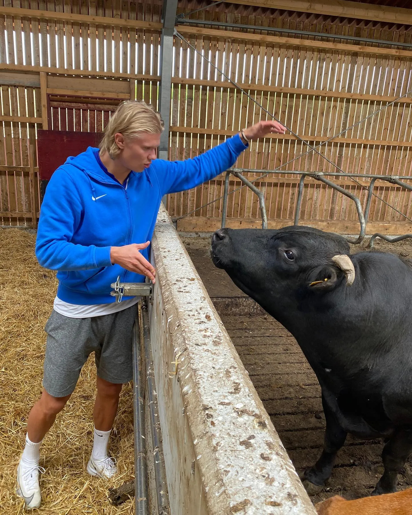 Inside Erling Haaland’s hometown as SunSport visits ‘Fridge’ training pitch… and Man City star’s favourite take-away