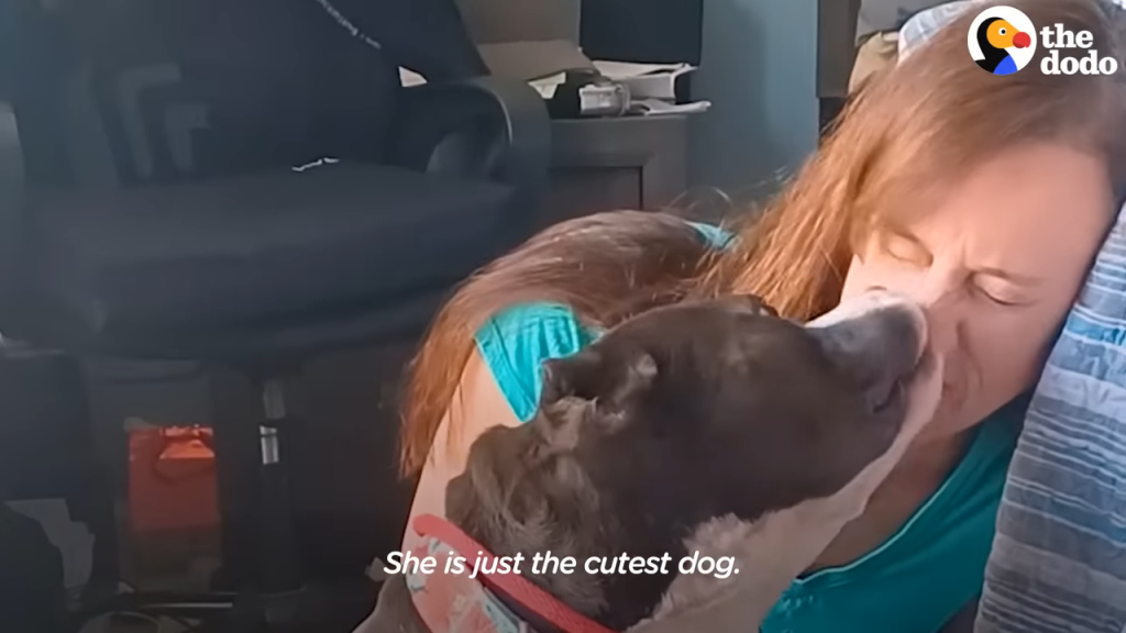 Pittie Couldn’t Stop Shaking Until Her Rescuers Finally Give Her A Hug