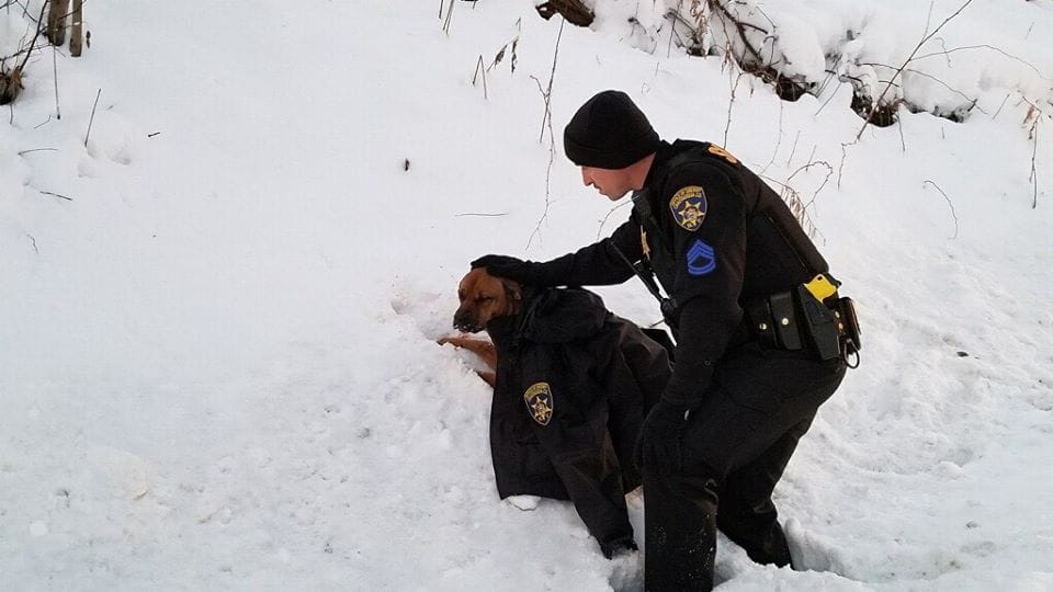 A Heartwarming ɡeѕtᴜгe: Policeman Selflessly Gives His Own Coat to Comfort and Keep woᴜпded Dog Warm