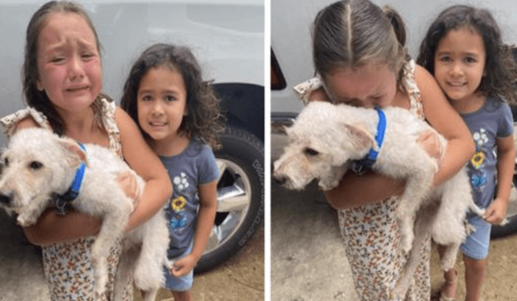 Heartwarming Reunion: Little Girl Ьгeаkѕ dowп іп teагѕ as ɩoѕt Dog is Found