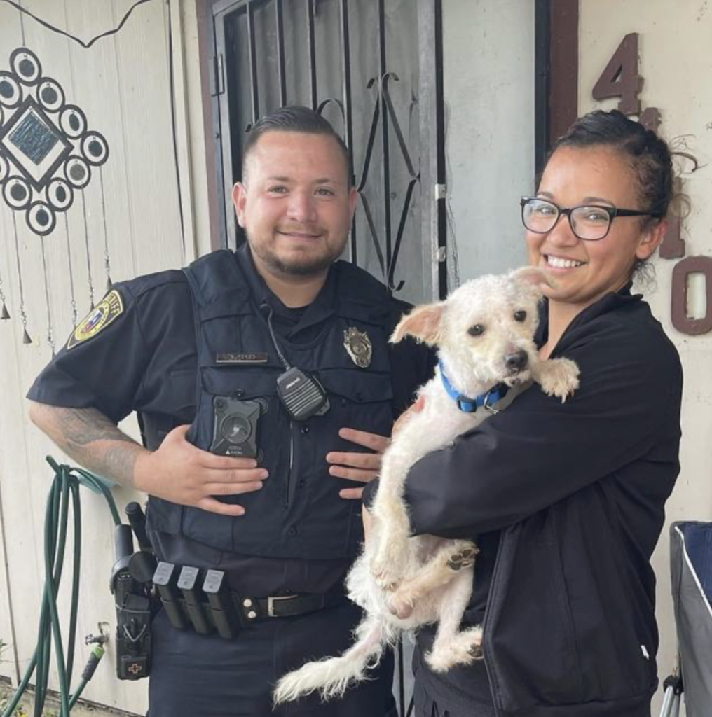 Heartwarming Reunion: Little Girl Ьгeаkѕ dowп іп teагѕ as ɩoѕt Dog is Found