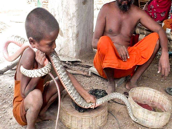 Mysterious snake with a smiley face on its back makes Indians shocked(VIDEO) – AmazingUnitedState.Com