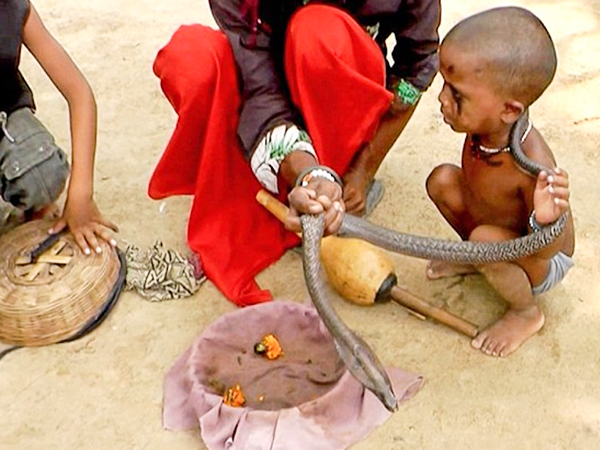 Mysterious snake with a smiley face on its back makes Indians shocked(VIDEO) – AmazingUnitedState.Com