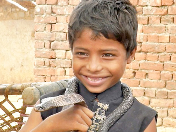 Mysterious snake with a smiley face on its back makes Indians shocked(VIDEO) – AmazingUnitedState.Com