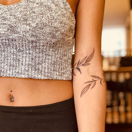 240+ Vine Tattoos For Guys and Females (2023)