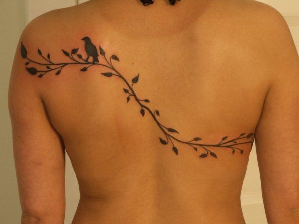 240+ Vine Tattoos For Guys and Females (2023)