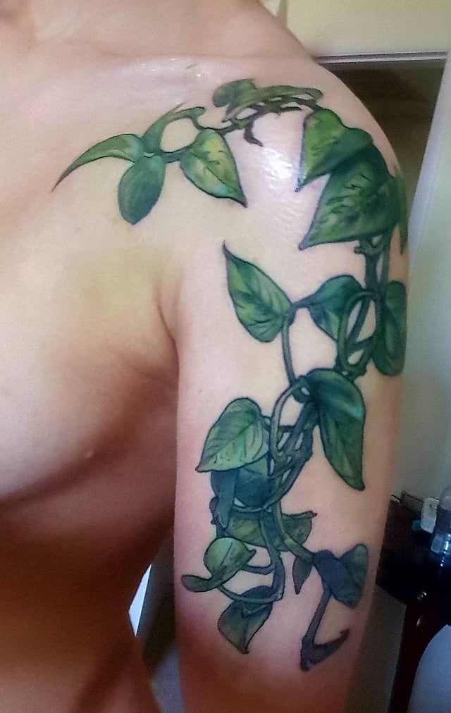 240+ Vine Tattoos For Guys and Females (2023)