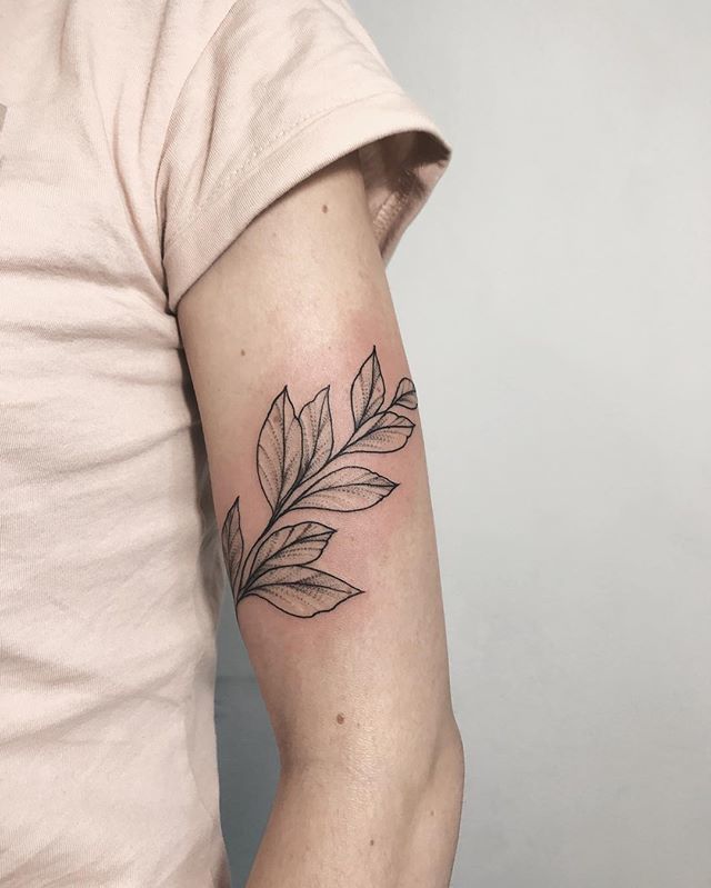 240+ Vine Tattoos For Guys and Females (2023)