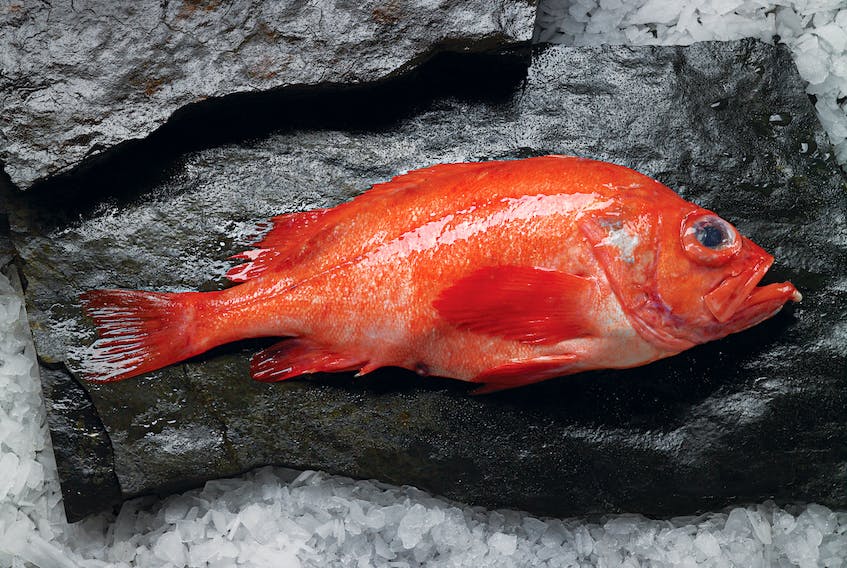 The Unusual Find: A Rare Red Fish Found in the Ocean - srody.com