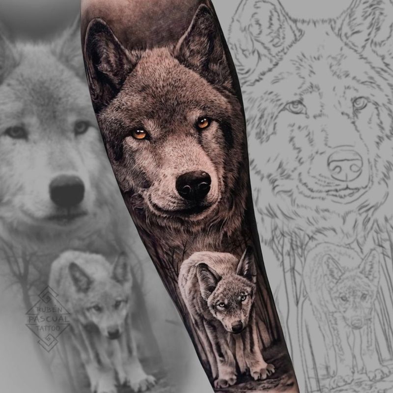 Are you ready to discover the best wolf tattoo designs?