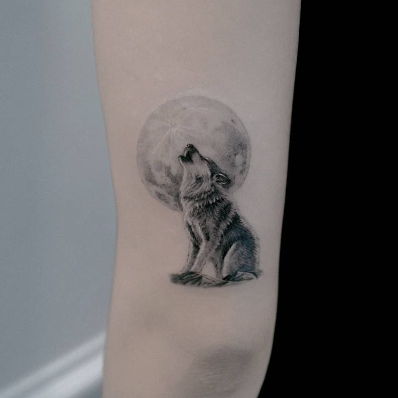 Are you ready to discover the best wolf tattoo designs?