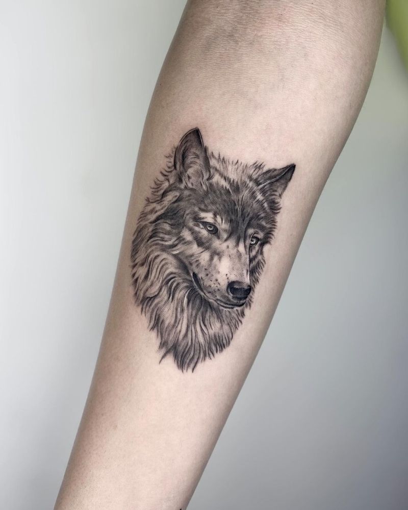 Are you ready to discover the best wolf tattoo designs?