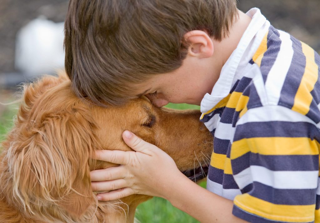 Millions of hearts melt as they see a youngster holding a dead dog. – AmazingUnitedState.Com