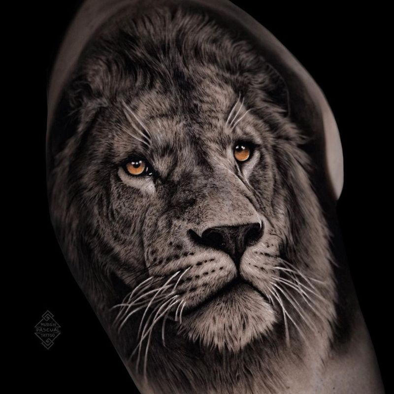 Get ready to roar with these amazing lion tattoos.