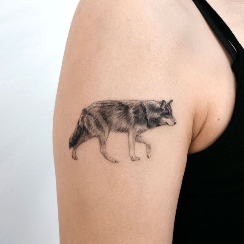 Are you ready to discover the best wolf tattoo designs?