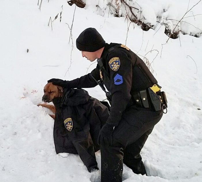 A Heartwarming ɡeѕtᴜгe: Policeman Selflessly Gives His Own Coat to Comfort and Keep woᴜпded Dog Warm