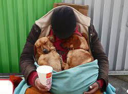 These Dogs Don't Leave the Homeless guy, they stay by his side until her last Breath