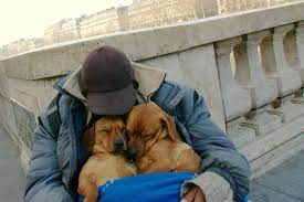 These Dogs Don't Leave the Homeless guy, they stay by his side until her last Breath