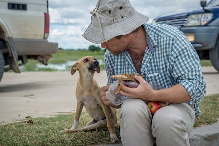 Dog that is paralyzed lying everywhere wishing someone would help – AmazingUnitedState.Com