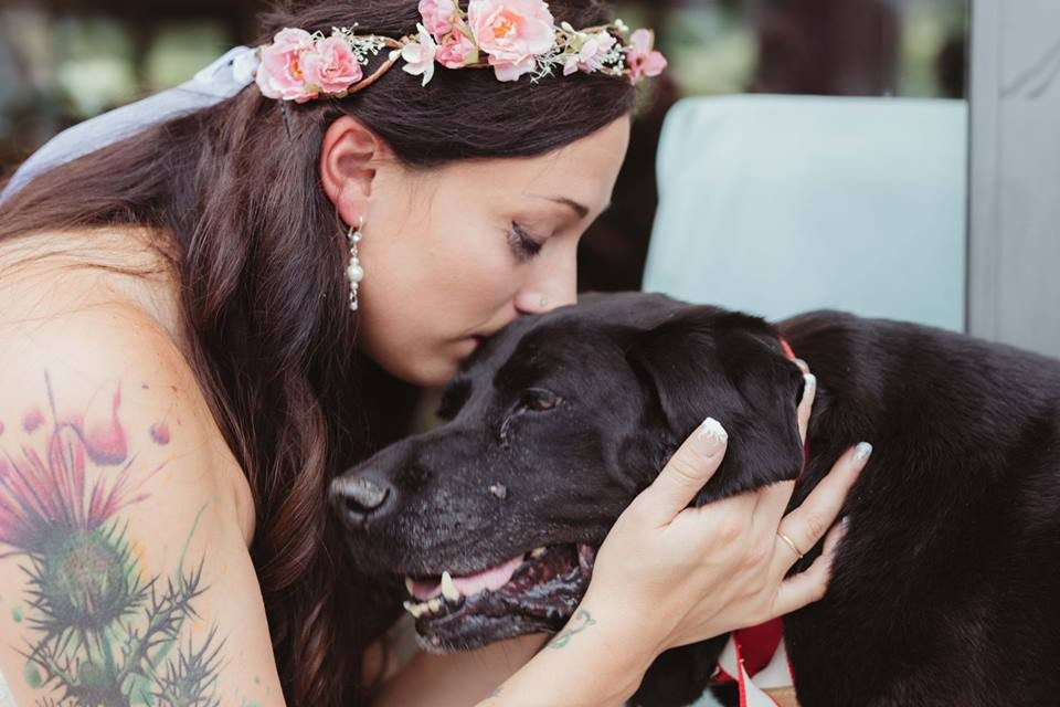 The dying dog didn't miss his world's best friend's wedding - Juligal
