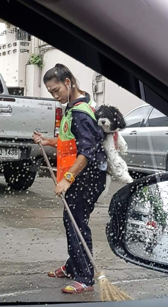 The image of the owner carrying the dog to clean the trash every day in Bangkok makes millions of hearts melt – AmazingUnitedState.Com