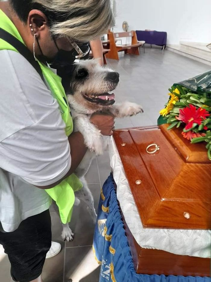 The dog cried beside the coffin of its owner because it didn’t want it to depart. – AmazingUnitedState.Com