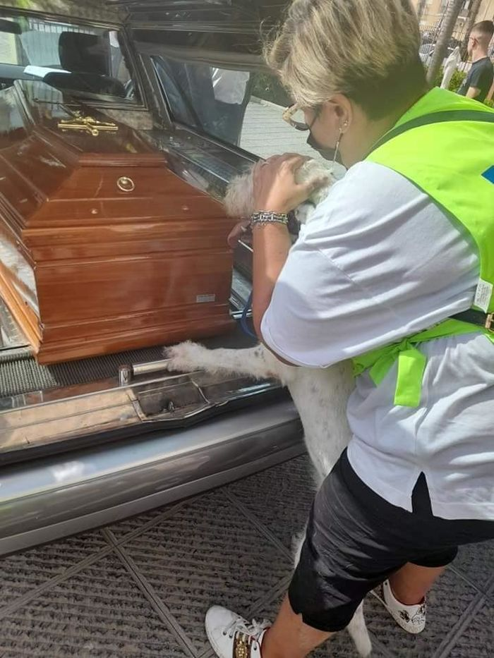 The dog cried beside the coffin of its owner because it didn’t want it to depart. – AmazingUnitedState.Com