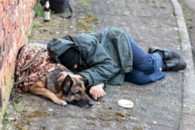 A homeless man who sleeps with a dog realizes that this angel will probably never abandon or betray him. - Juligal