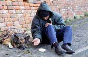 A homeless man who sleeps with a dog realizes that this angel will probably never abandon or betray him. - Juligal