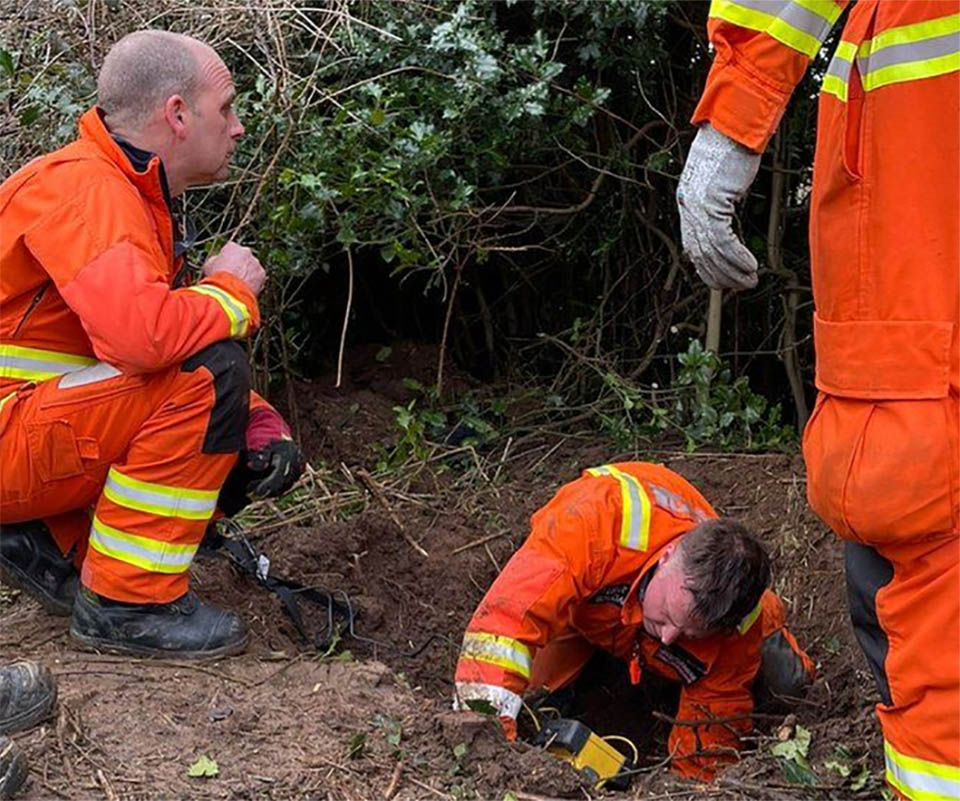 The dog that was buried alive by the owner in the ground was saved in time – AmazingUnitedState.Com